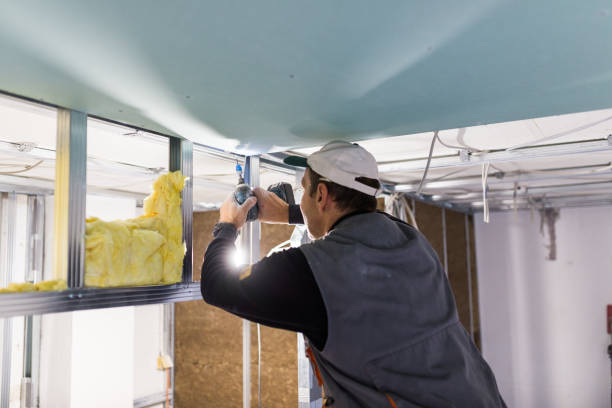 Best Affordable Insulation Services  in Beech Grove, IN