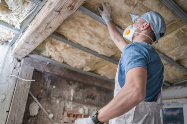 Best Attic Insulation Installation  in Beech Grove, IN