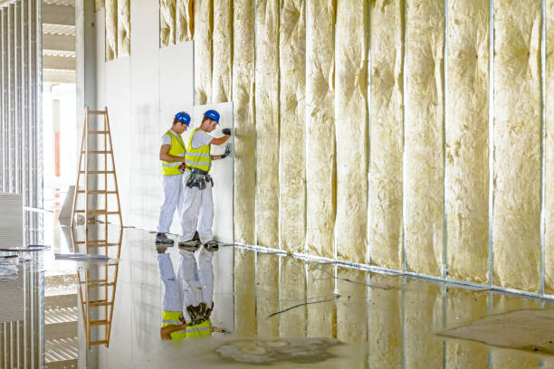 Best Wall Insulation Contractor  in Beech Grove, IN